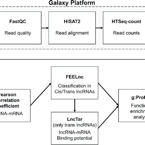 Workflow For Lncrna Mrna Co Expression Analysis All Tools Employed Are