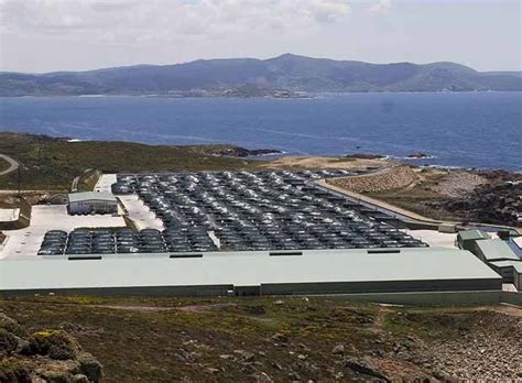 Piscifactoría de Stolt Sea Farm Edición impresa EL PAÍS