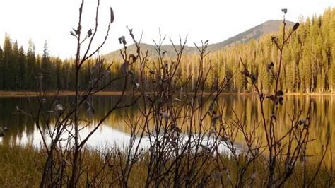 Bull Trout Lake Campground In Autumn Revisited Part 1 Youtube