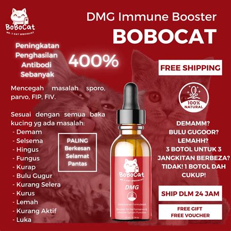 Bobocat Dmg Immune Booster Supplement Cat Vitamin Kucing Ubat Selsema