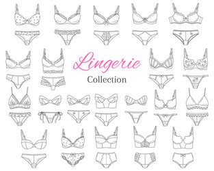 Bras Fashion Lingerie Card With Female Underwear Vector Image