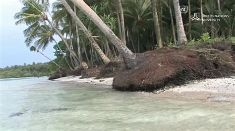 Climate Change And The Pacific Islands Collection Classroom Resources