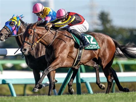 【紫苑s結果】スタニングローズがゴール前で抜け出し重賞2勝目 競馬ニュース Netkeiba