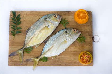 Closeup View Of Fresh Malabar Trevally Fish Or Nakedshield Kingfish