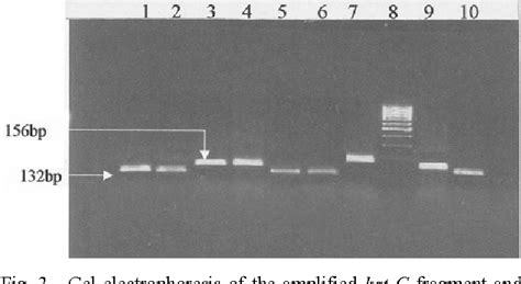 Pdf Molecular Characterization Of Mutation Associated With Rifampicin