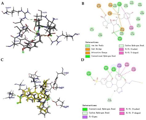 Molecular Docking Results A The Docking Pose Of Dpp442 B The Download Scientific Diagram