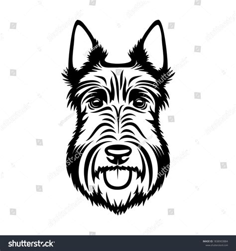 117 Scottie Dog Outline Images, Stock Photos & Vectors | Shutterstock