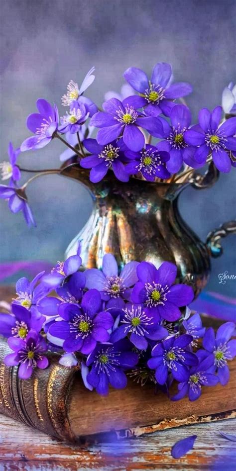 калейдоскоп | Фото цветов, Красные цветочные композиции, Цветочные картины