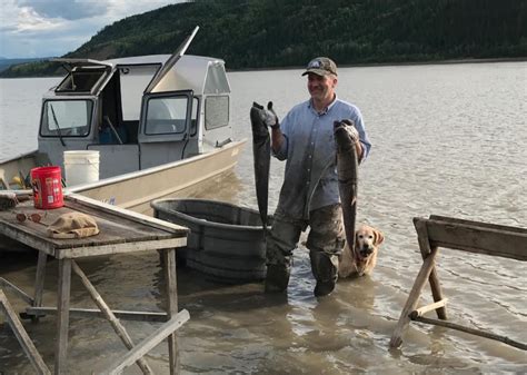 united fishermen  alaska dismiss gross endorse sullivan  read