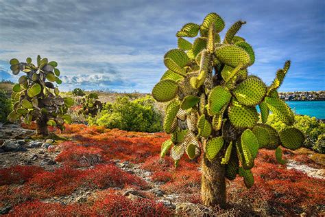 Santa Fe Island Day Tour Ecuador Trails