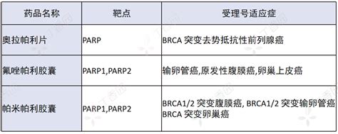 Adc 药物、parp 抑制剂2021 年 Nmpa 批准抗肿瘤药物，重磅盘点！ 丁香园