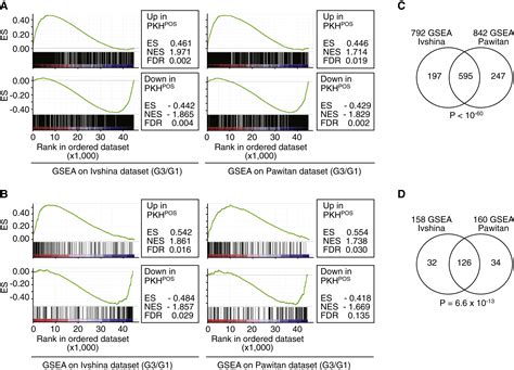 Biological And Molecular Heterogeneity Of Breast Cancers Correlates