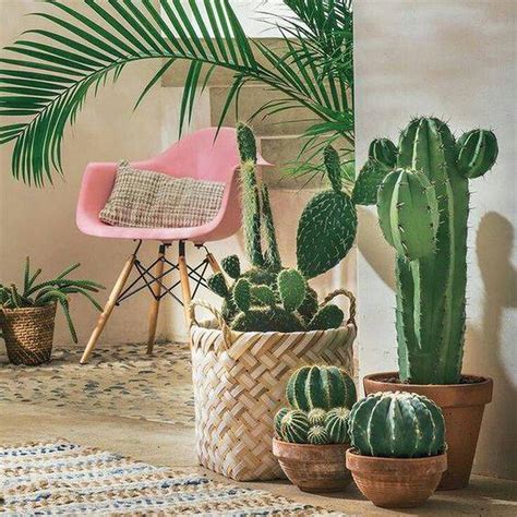 Ideas de decoración para transformar tu hogar con suculentas y cactus