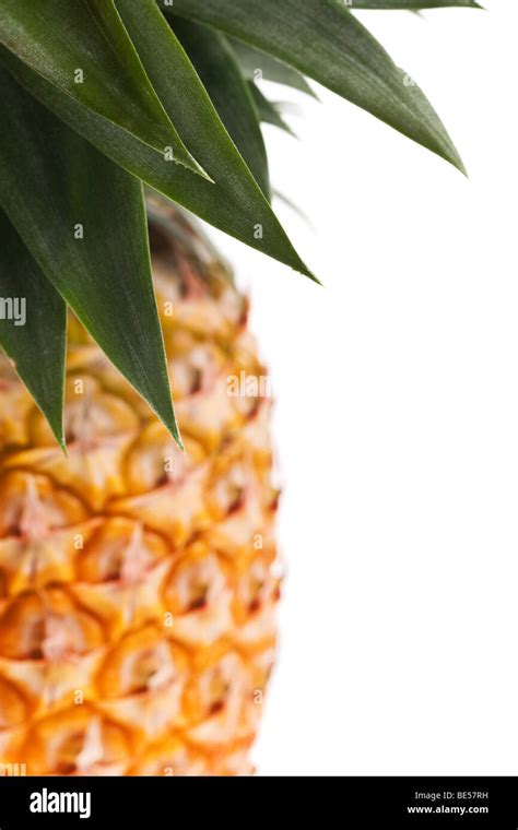 Ananas Hintergrund Fotos Und Bildmaterial In Hoher Aufl Sung Alamy