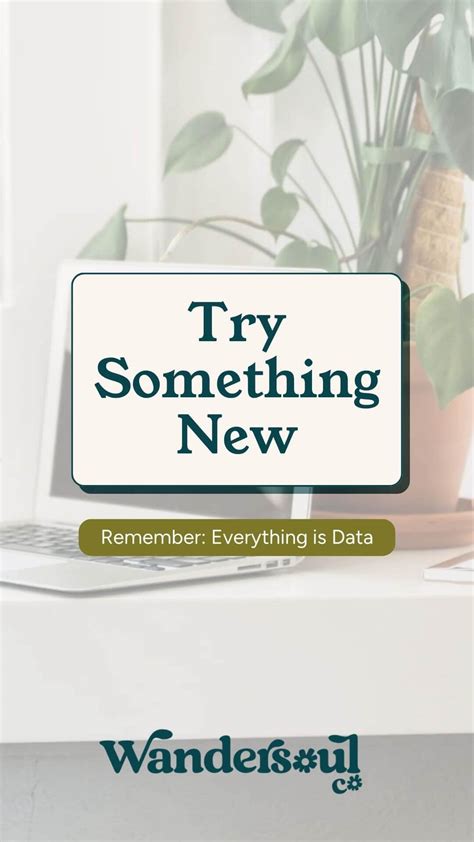 tsr    data wandersoul