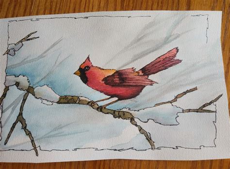 Cardinal In Winter Drawing