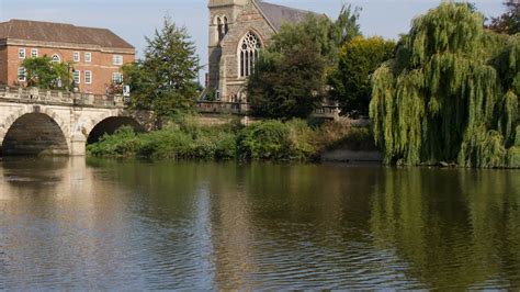 Experts thrilled after creature returns from 400-year-long absence ...