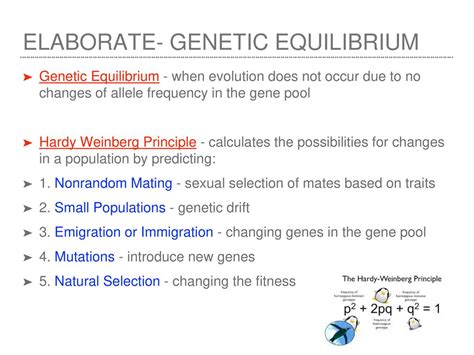 Evolution Of Populations Ppt Download