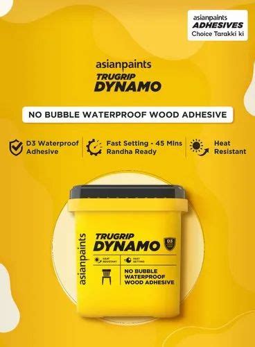 Asian Paint Trugrip Dynamo Wood Adhesive 50 Kg Bucket At Rs 11500