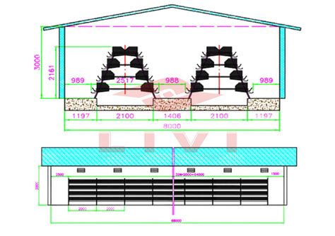 A Type Manual Layer Cage System For Sale Automatic Layer Hen Cage