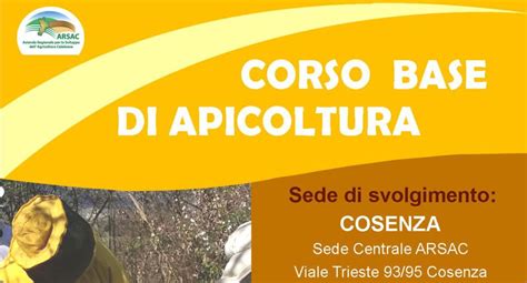 Cosenza Aperte Iscrizioni Al Corso Base Di Apicoltura Arsac Servizi