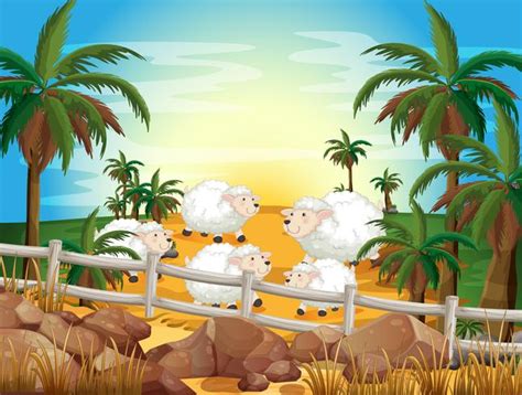 Sheep And Farm 521991 Vector Art At Vecteezy