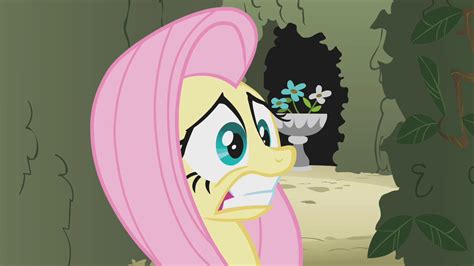 Image - Scared Fluttershy S2E01.png - My Little Pony Friendship is Magic Wiki