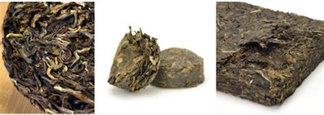 Understanding The Difference Between Raw Pu Erh Tea And Ripe Pu Erh Tea