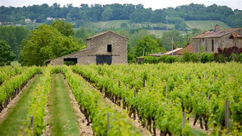 Bordeaux Wine Region Pictures: View Photos & Images of Bordeaux Wine Region