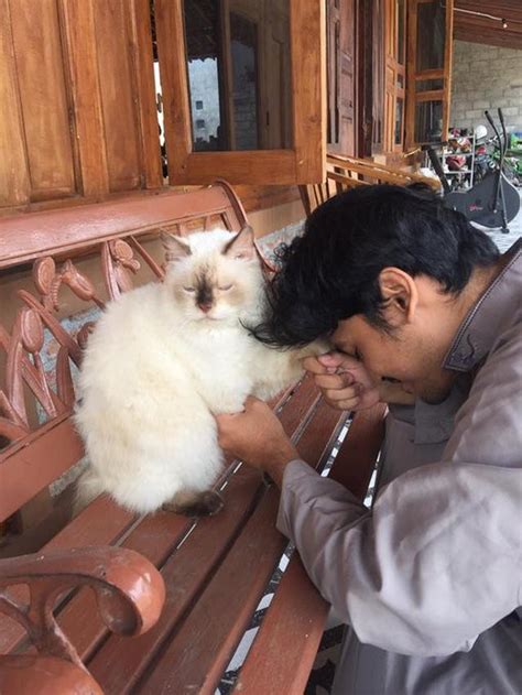 Momen Kompak Kucing Dan Majikan Saling Minta Maaf Ini Bikin Senyum