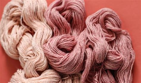 Natural Dyes For Wool Brazilwood Knomad Yarn