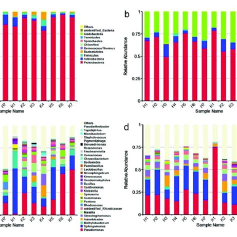 Species Relative Abundance Histogram Of Bacterial Community On Phylum