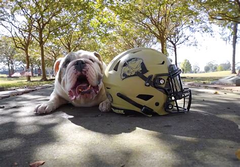 Army’s 2023 Army-Navy game uniforms | PHOTOS – Capital Gazette