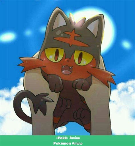 Cut | Pokémon Amino