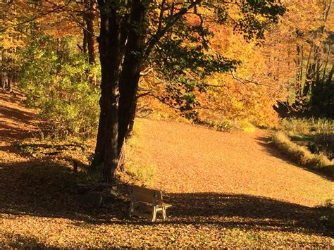 Fall Colors - From a Weekend Retreat to a House in the Country A thirty ...