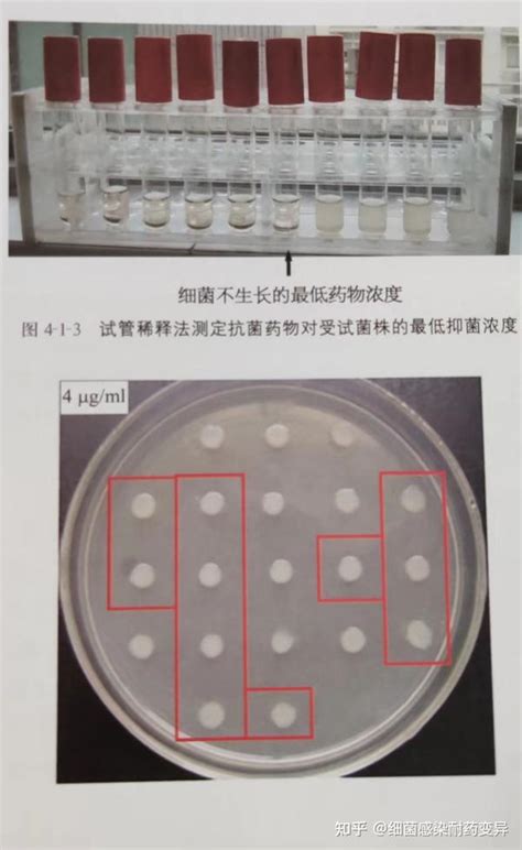 第 4 章 抗菌药物敏感性试验和细菌耐药机制 知乎