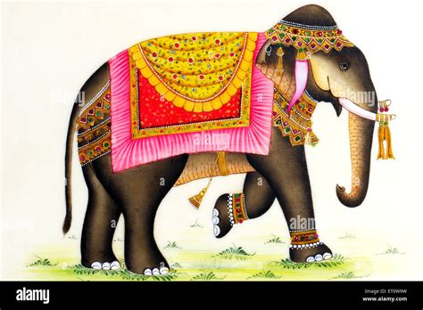 Elefante India Dibujo Fotografías E Imágenes De Alta Resolución Alamy