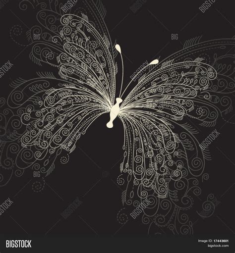 Butterfly On Black Vector & Photo (Free Trial) | Bigstock