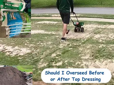 Should You Overseed Before Or After Top Dressing Your Lawn Lawn Model