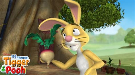 My Friends Tigger And Pooh S01e01 Rabbit S Ruta Awakening