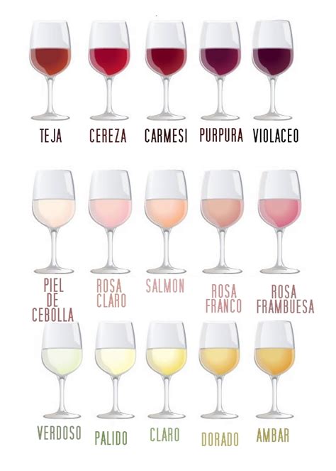 Colores Y Aromas Del Vino Soy Hostelero