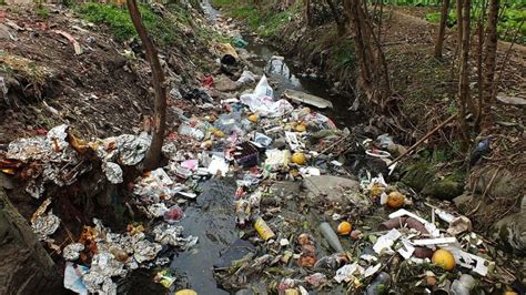 Es Un Derecho Humano Un Medio Ambiente Limpio Declara La Onu Politik