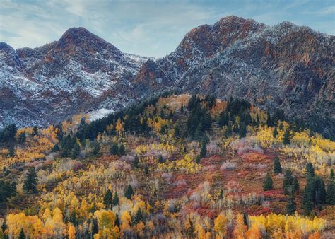 Fall Colors in the Canyon Photograph by Steven H Webb - Fine Art America