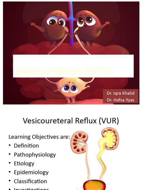 Vesicoureteral Reflux Pdf Medical Specialties Urology