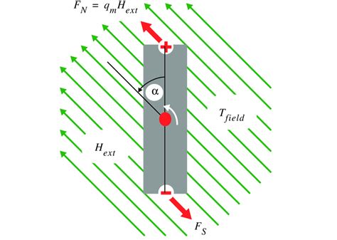 Magnetic charges and the torque they generated. | Download Scientific ...