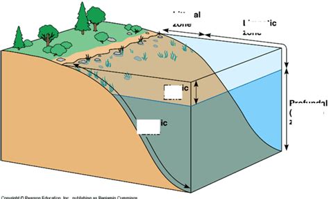 Lake Zones Diagram Quizlet