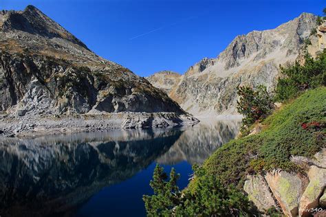 Reserve Naturelle Du Neouvielle Hautes Pyrenees Oliv340 Flickr