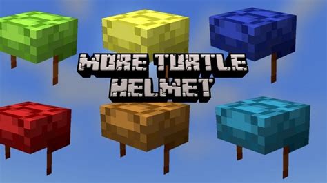 A Guide to the Turtle Helmet from MineCraft – 3Diesel.com