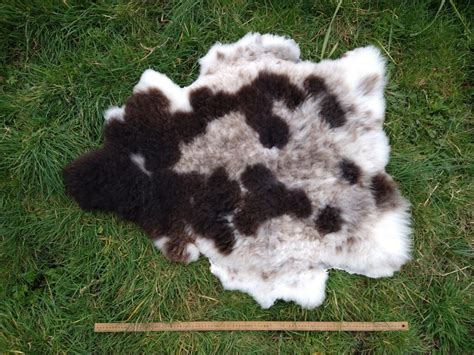 Jacob Sheepskin 197 Tamarisk Farm West Bexington Nr Bridport