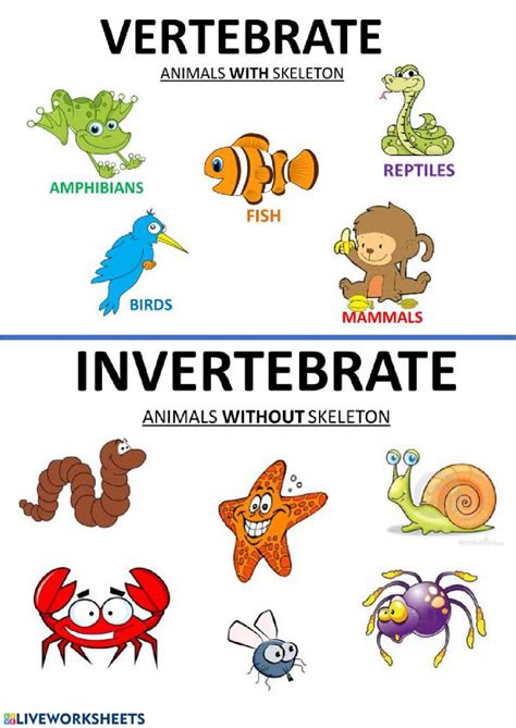 Vertebrates And Invertebrates Liveworksheets